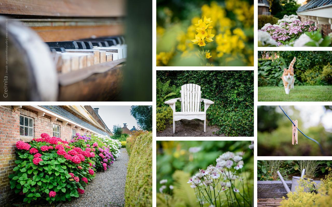 Unia Zathe Bed and Breakfast Ee Eksteriør billede